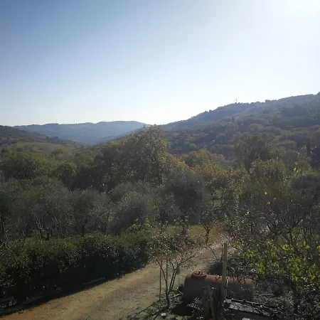 Homebo Tenuta Ioana